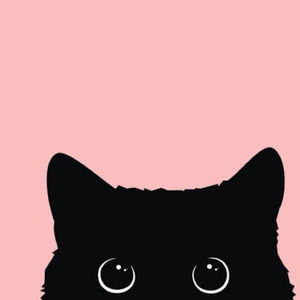 Meet your Posher, Appoline